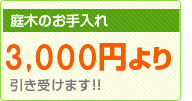 庭木のお手入れ3,150円より引き受けます!!