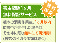 害虫駆除1ヶ月無料保証サービス植木の消毒作業後、1ヶ月以内に害虫が発生した場合はその木に限り無料にて再消毒!(病気・カイガラ虫類は除く)